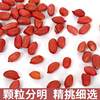 New Red Peanut Pregnant Women's Four Red Peasants in Northeast China Self-produced Red-clothed Small Peanut without Shell Vacuum Packaging