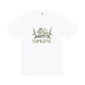 50 white