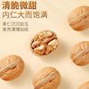 New Xinjiang 185 Paper-Skinned Walnuts Aksu Thin-Skinned Hand-Peeled Ready-To-Open Original Nut Snacks Original Ecological Wholesale