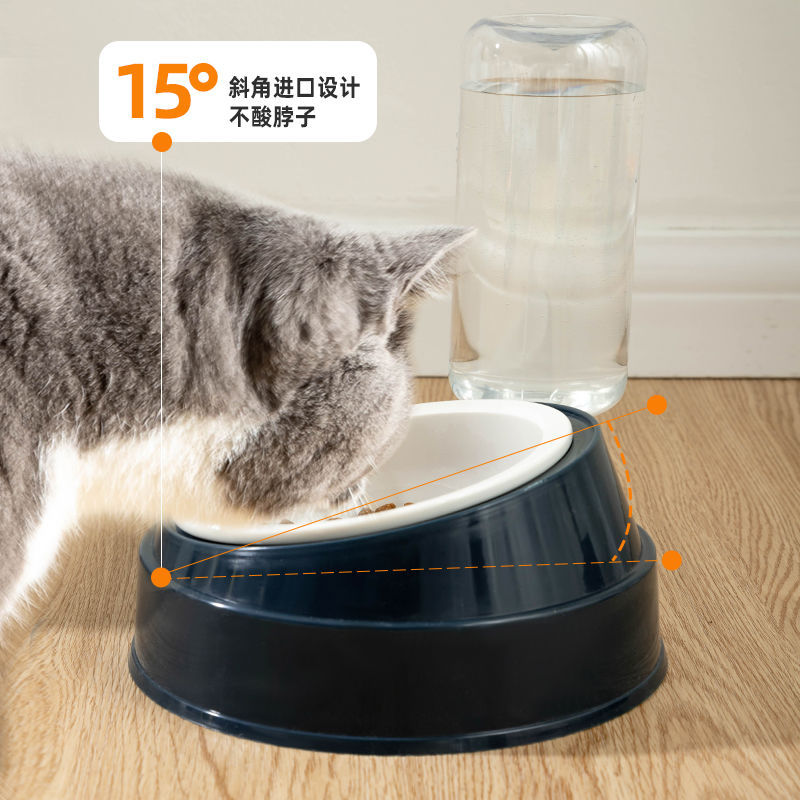 新款不锈钢猫碗陶瓷保护斜口自动饮水狗碗防狗狗食盆不湿嘴猫咪用 - 图0