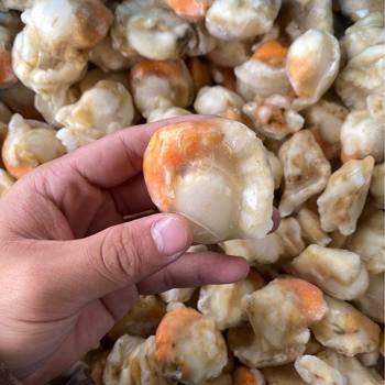 Quick-Frozen Original Scallop Meat Long Island Red Scallop Scallops Large and Small Ice 6kg /Piece Chengdu Wholesaler Super Ingredients