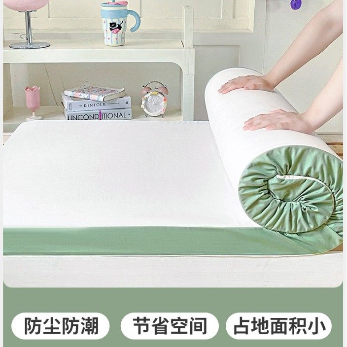 Memory Foam Mattress Cushion Sponge Household Mat Student Dormitory Single Tatami Rental Memory Foam Mattress