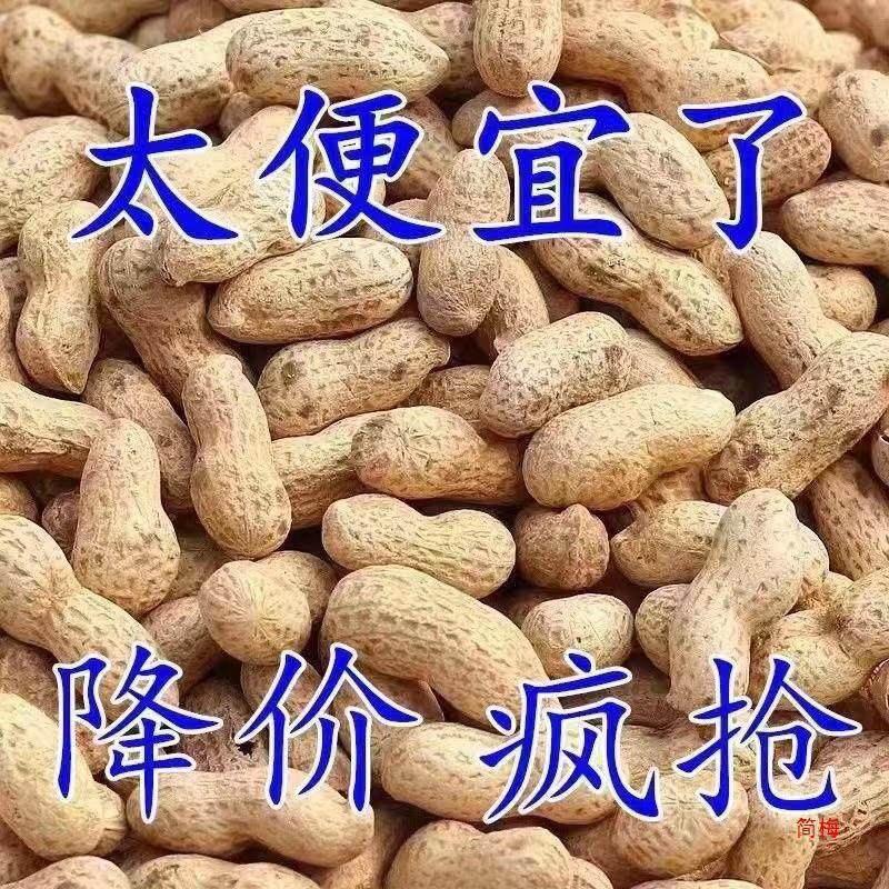 [Net Re-Processed Peanuts]Original Flavor Roasted Peanuts in Iron Pan, Shelled Raw Peanuts, Skin-On Peanuts, Freshly Roasted Peanuts