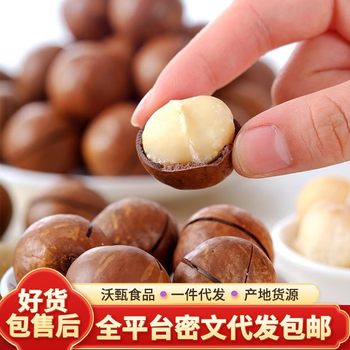 Macadamia Nuts with Creamy Walnut Flavor, Thin-Skinned Summer Fruit, New Year's Nut Snacks, Milky Macadamia Nuts