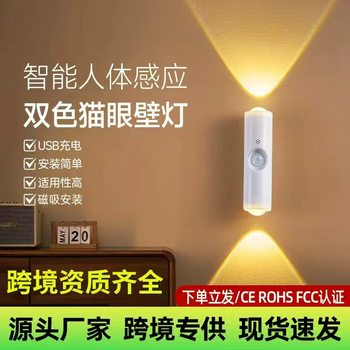 New Cross-Border Wireless Wall Lamp, No Wiring, No Drilling, Ambient Light, Night Light, Sensor, Magnetic Suction, USB Charging, Cat's Eye