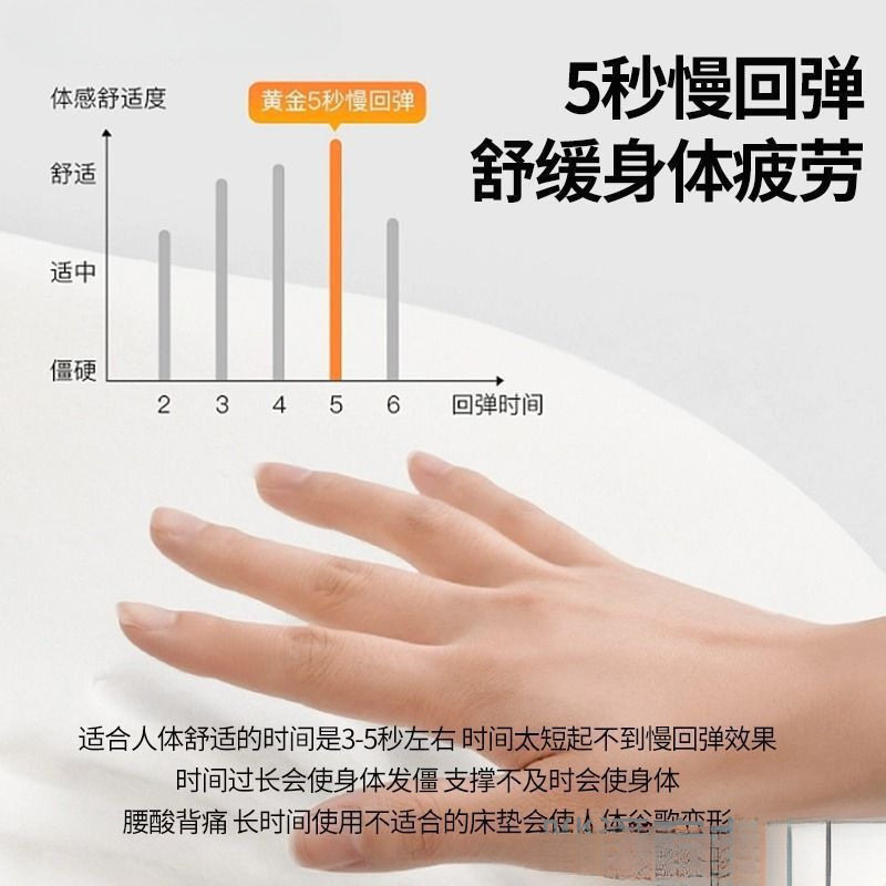 Latex Memory Foam Mattress Cover Soft Cushion Home Bedroom Thickened Tatami Sponge Mat Student Dormitory