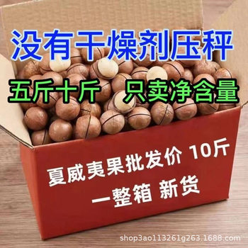 Macadamia Nuts Wholesale Starting from 5kg Whole Box of Nut Cream Flavored Bulk Snacks Recommended by Internet Celebrities 2023 New Arrivals