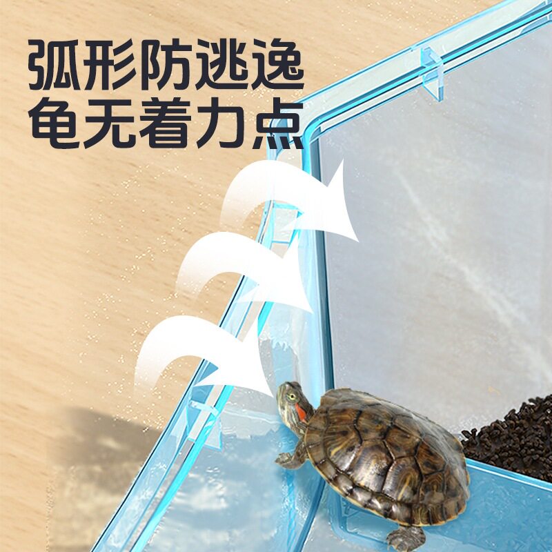 Chongshangtian Turtle Tank Comes with 2 Small Turtles, Brazilian Turtle, Grass Turtle, Crocodile Turtle, Live Turtle Basin, Pet Box, Kidsren's Gift