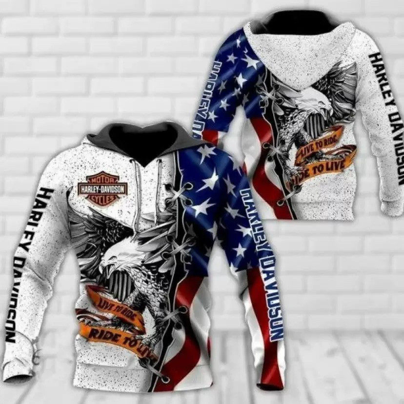 temu新款外贸春秋季男卫衣3D印花套头卫衣连帽衫厂家直销