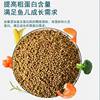 Koi Feed Fish Food Fish Feed Small Particle Goldfish Feed Ornamental Fish Universal Household Fish Tank Fish Food