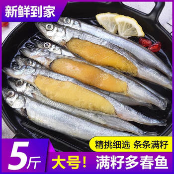 Fresh Multi-Seed Spring Fish, Frozen Multi-Seed Fish, Seafood with Seeds, Barbecue and Fried Commercial Sea Fish Ingredients Wholesale