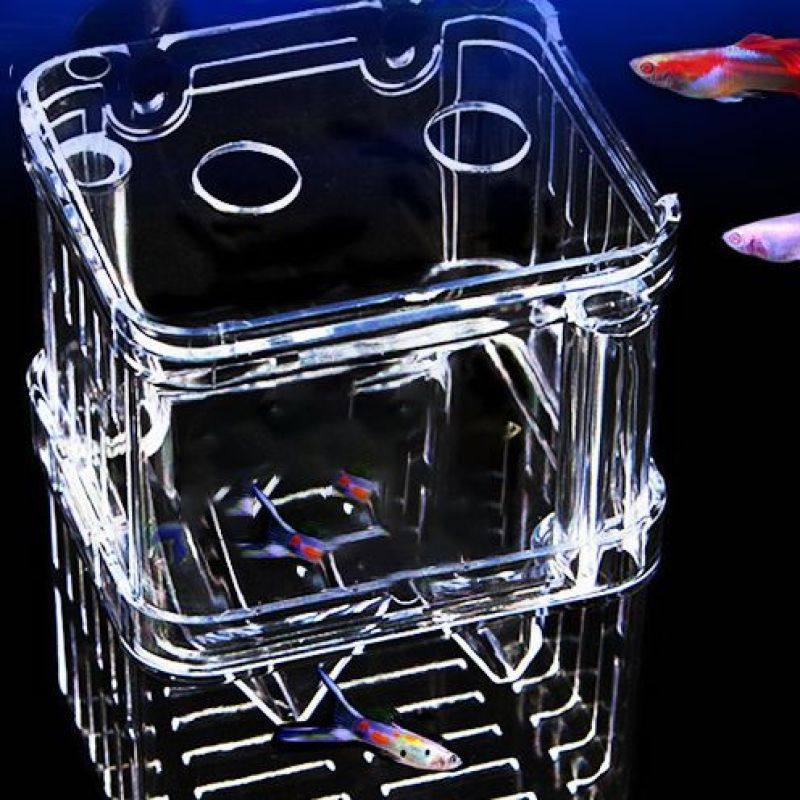 Fish Tank Isolation Box, Hatching Box, Guppy Breeding Box, Tropical Fish Fry Incubator, Large and Small Size Hatching Room