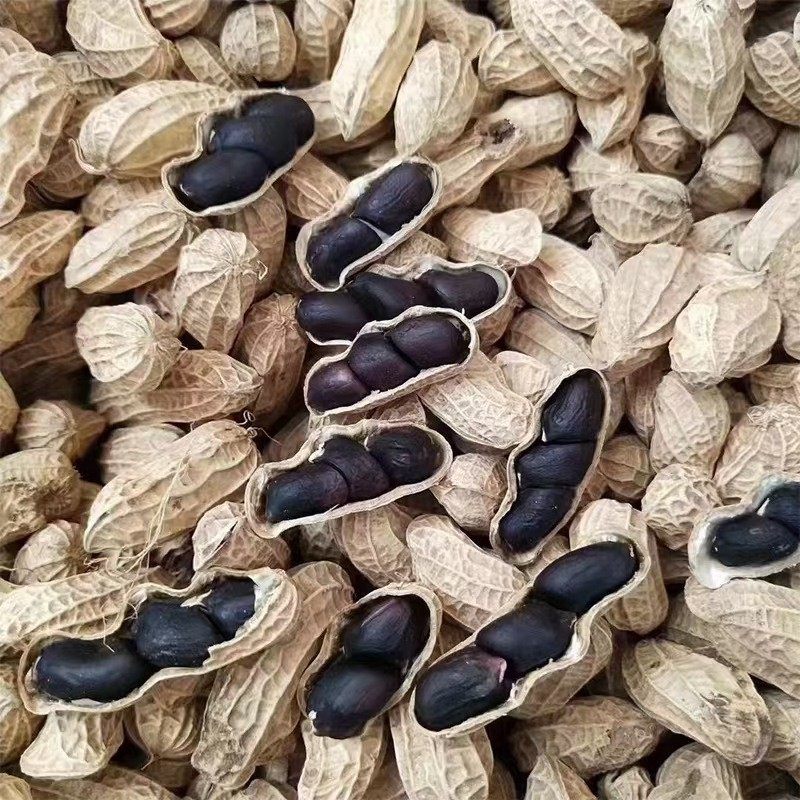 Yunnan Selenium-Rich Black Peanuts 250g Shelled Small Peanuts with Sweet Black Skin Healthy Stomach-Nourishing Snacks Black Peanuts