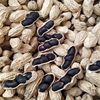 Yunnan Selenium-Rich Black Peanuts 250g Shelled Small Peanuts with Sweet Black Skin Healthy Stomach-Nourishing Snacks Black Peanuts