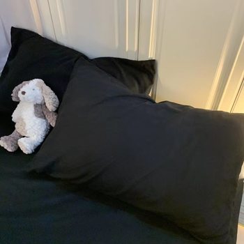 Solid Color Pillowcase Pillow Cover Pocket Style Simple Light Luxury Fashion Unisex Student Dormitory All-Season Single Wholesale