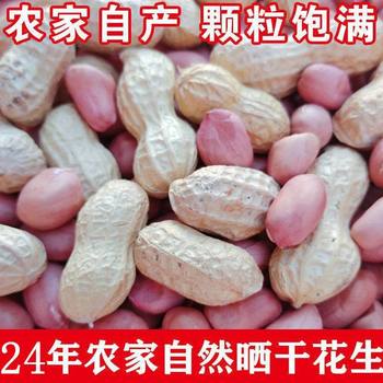 2024 Fresh Raw Peanut with Shell Dried with Skin and Powder Raw Peanut Original Cooked Peanut 250g 3kg