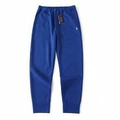 Royal blue pants