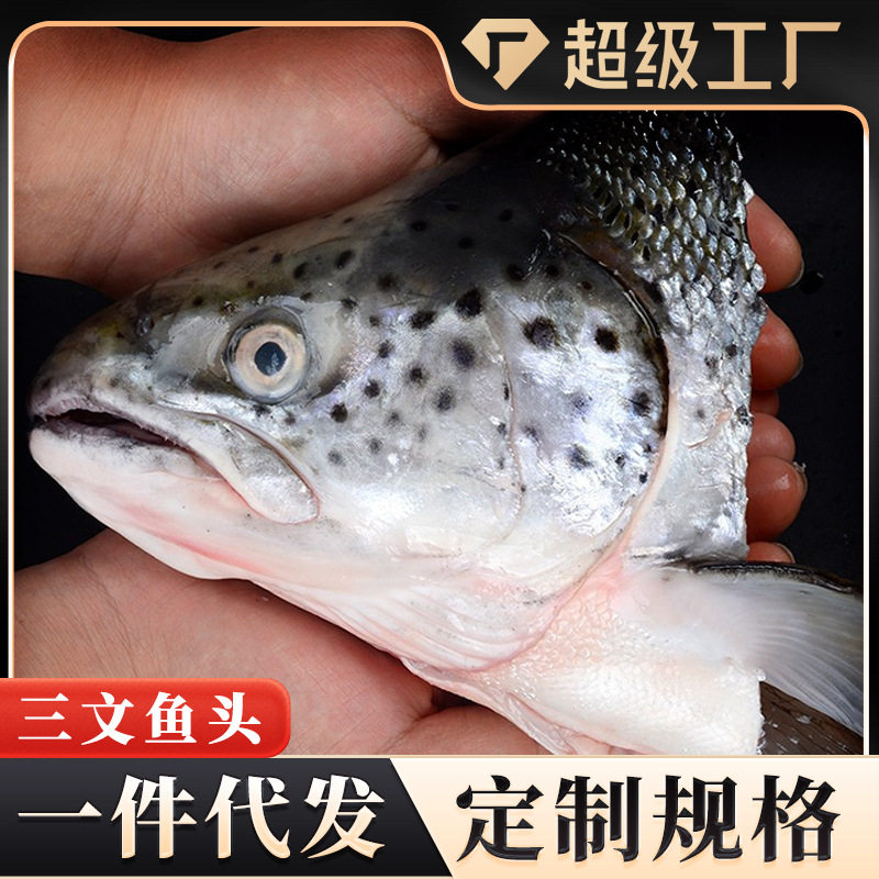 Salmon Head Faroe Islands Chilled Salmon Head Fresh Salmon Meat Commercial Wholesale Custom Oem