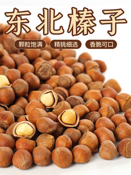 Fresh Wild Hazelnuts from Tieling, Northeast China, 2025 Specialty Dried Fruit, Raw Hazelnuts in Bulk, Raw Hazelnuts Roasted