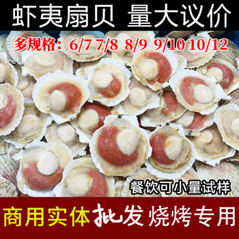 Fresh Extra Large Scallops Half Shell Commercial Frozen Fresh Garlic Vermicelli Barbecue Ingredients Seafood Shelled Ezo Scallops