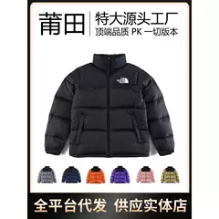 Putian Beijia 1996 down Jacket Gray Unisex Couple Style Tnf Puffer Jacket Winter Sports Casual Wear
