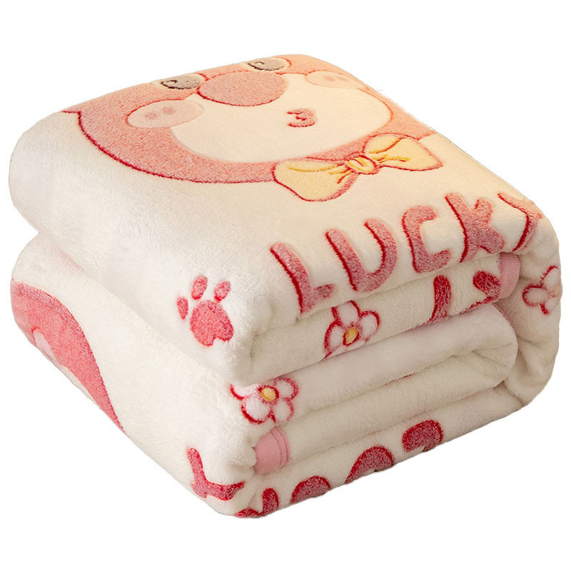 2025 Autumn and Winter Blanket Double-Sided Fleece Flannel Wholesale Single Dormitory Blanket Home Office Lunch Break Fleece Blanket