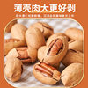 New Arrival Pecan Cream Flavor Large Particles Longevity Fruit American Pecan Nuts Bulk Snacks Whole Box Wholesale Xz