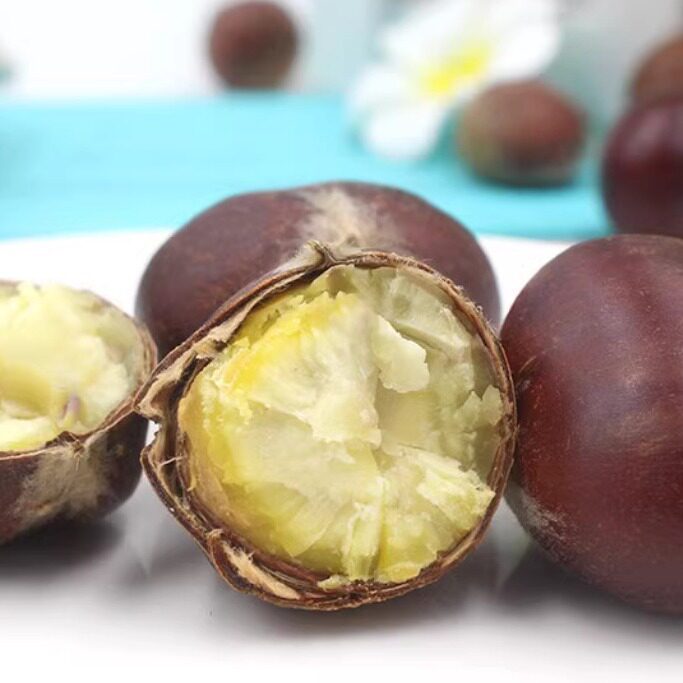 Fresh Chestnuts 2.5kg Farm-Grown Freshly Picked Raw Chestnuts, Authentic Oil Chestnuts, Not Qianxi Yanshan Chestnuts