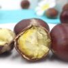 Fresh Chestnuts 2.5kg Farm-Grown Freshly Picked Raw Chestnuts, Authentic Oil Chestnuts, Not Qianxi Yanshan Chestnuts