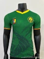 2526cameroon home court