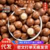 Macadamia Nut Cream Flavor New Arrival Nuts and Dried Fruits New Year Goods Bag Wholesale Price Casual Snacks Macadamia Nuts