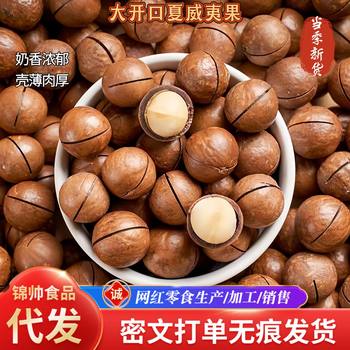 Macadamia Nut Cream Flavor New Arrival Nuts and Dried Fruits New Year Goods Bag Wholesale Price Casual Snacks Macadamia Nuts