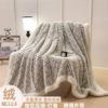Scandinavian Style Class a Double-Sided Warm Plush Blanket Cashmere Sofa Blanket Cover Blanket Nap Shawl Blanket Anti-Static