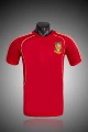 2008 spain home game