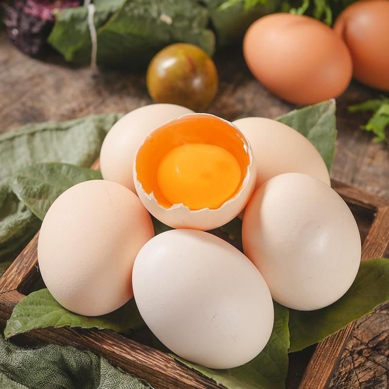 [Damage Guaranteed] Farmhouse Free-Range Eggs, Nutritious and Fresh Cordyceps Confinement Eggs, Farmhouse Free-Range Eggs