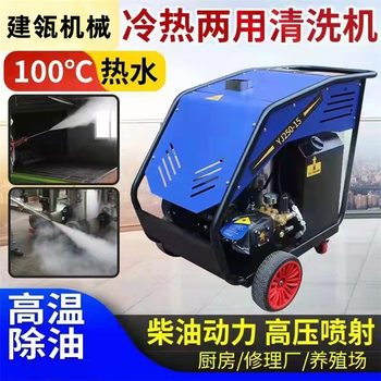 D250 Diesel Heating High Temperature Hot Water Cleaning Machine High Pressure Hot and Cold Water Gun Pump 380V Industrial Steam Car Washer