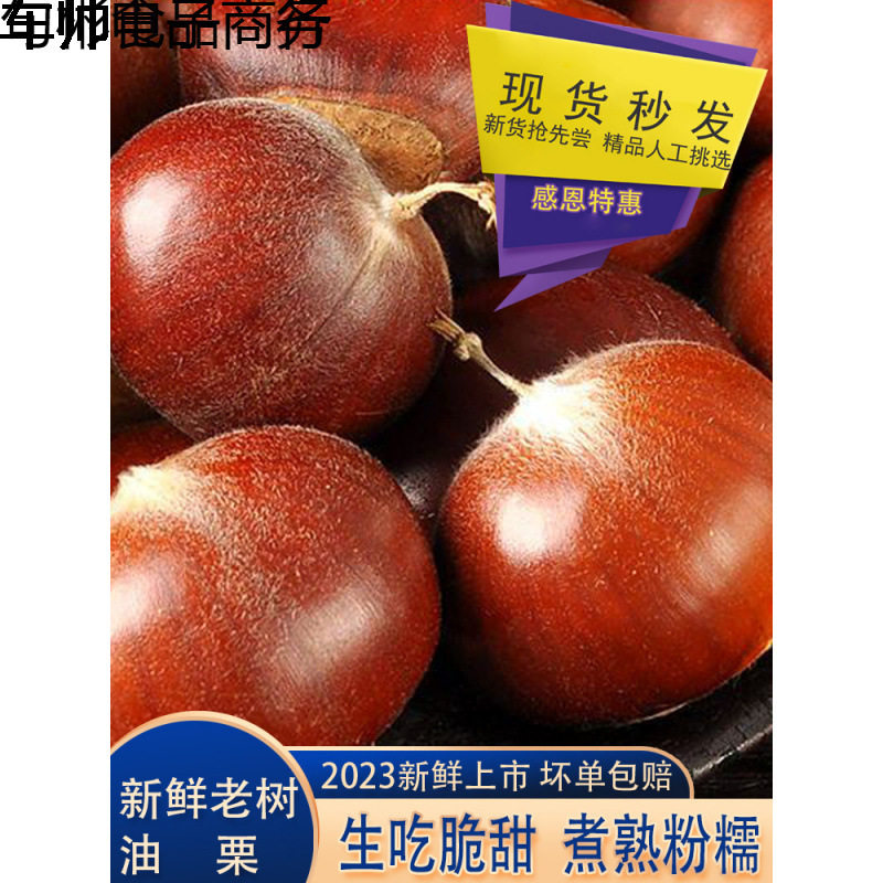 Freshly Picked Wild Chestnuts from Deep Mountains, Raw Chestnuts in Stock