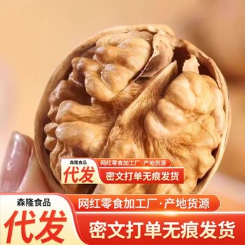 Xinjiang Paper-Skinned Walnuts 2025 New Thin-Skinned Walnuts 185 Walnut Nuts Aksu Original Health-Preserving Fruit