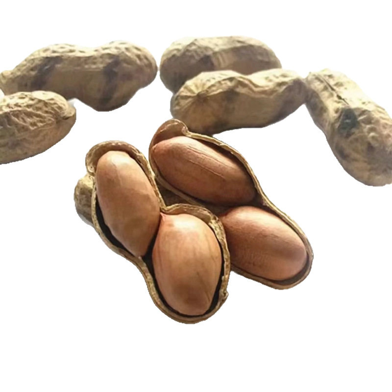 Firewood Fried Peanuts in a Large Rural Iron Pot, Original Flavor, Small Peanuts with Shells