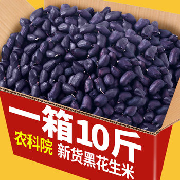 New Selenium-Enriched Black Peanuts from the Academy of Agricultural Sciences, Sun-Dried Original Raw Black-Skinned Peanut Seeds, Wholesale Black Peanut Kernels from Yunnan