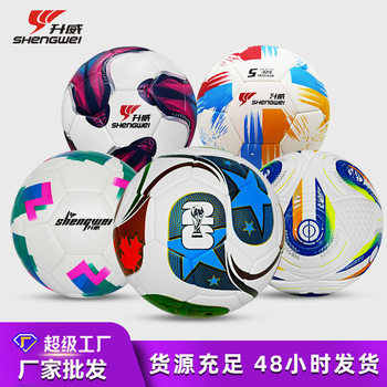 Football No.5 Champions League World Cup machine sewing football adhesive football pvc football Shengwei foam pvc football wholesale