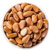 Northeastern Pine Nuts 1200 Snacks Large Kernels Specialty Nuts Roasted Wild Peeled by Hand Northeastern Specialty