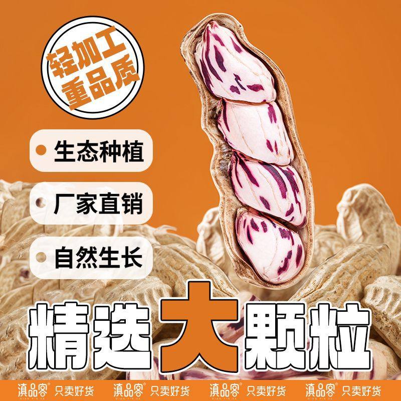 New Colorful Salted Dried Peanuts from the Academy of Agricultural Sciences, Boiled Shelled Milk Fruit Peanuts, Yunnan Specialty Nut Snacks