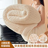Waffle Lamb Velvet Blanket Thickeneded Winter Milk Velvet Blanket Nap Office Sofa Blanket Student Blanket