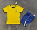 26-27 brazil home game