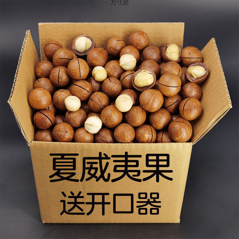 Four Types of Nut Combination Gift Packs: Macadamia Nuts, Almonds, Pistachios, Pecans, Cashew Nuts, Canned Snacks