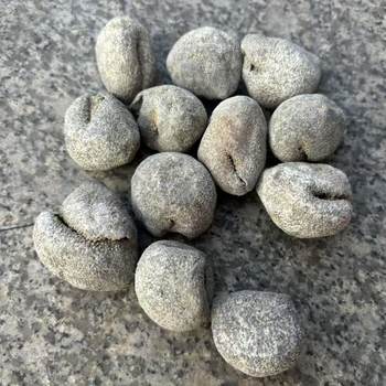 Wholesale of Sea Cucumbers with Large Heads, Pearl Balls, about 45 Heads, Wholesale Longan Cormorants, Black Round Balls, Small Balls