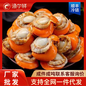 Extra Large Scallop Meat Without Ice Coating Fresh Frozen Scallops Without Ice Coating Shellfish Seafood Seafood Aquatic Products Commercial Wholesale