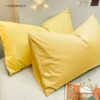 Winter New Solid Color Washed Cotton Brushed Pillowcases, Stain-Resistant, Set of Two, Ultra-Soft Plain Color Mix and Match