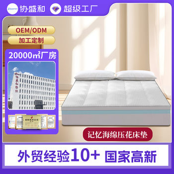 Memory Sponge Embossed Mattress Thickened High Density Sponge Mattress Cushion Factory Direct Foreign Trade
